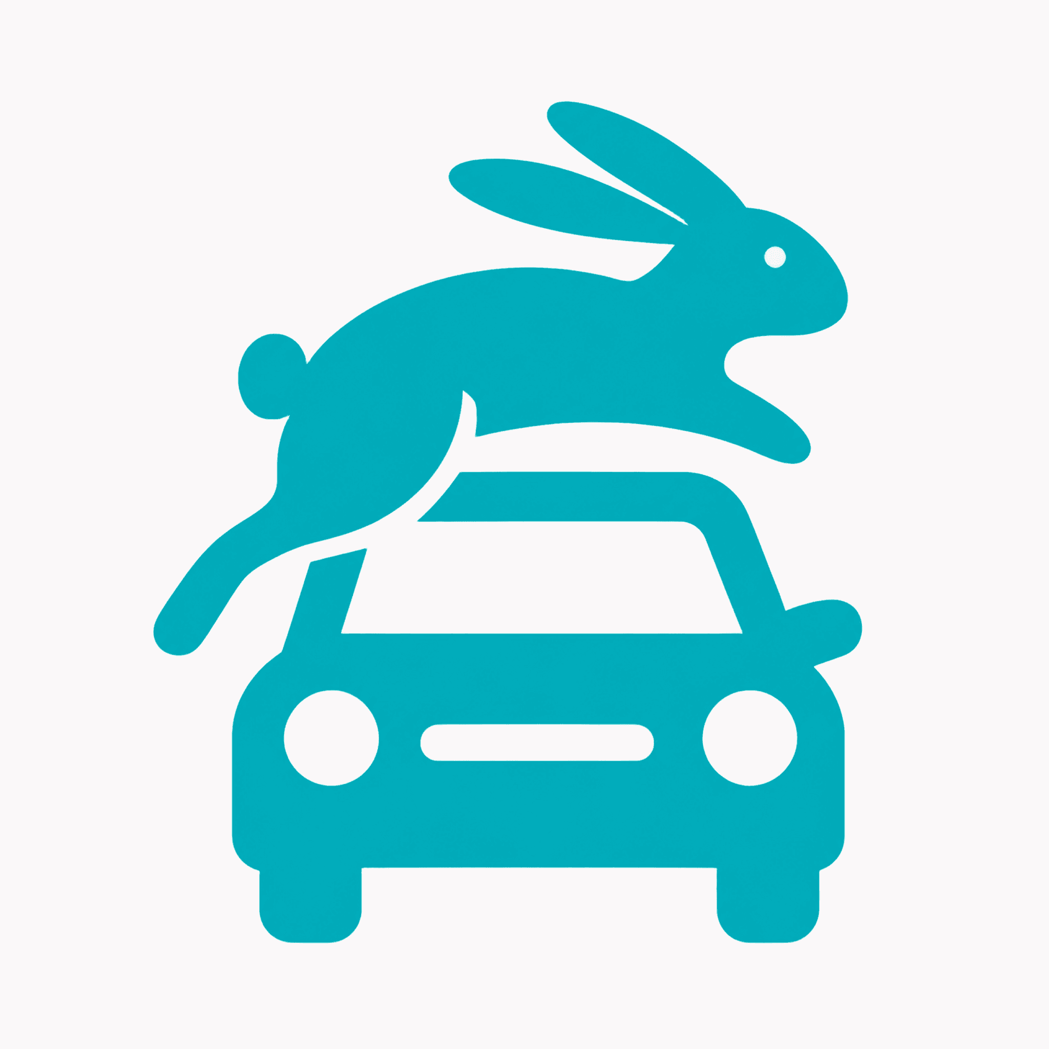 HopNTravel app icon.